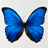 Jonathan Dubonheur